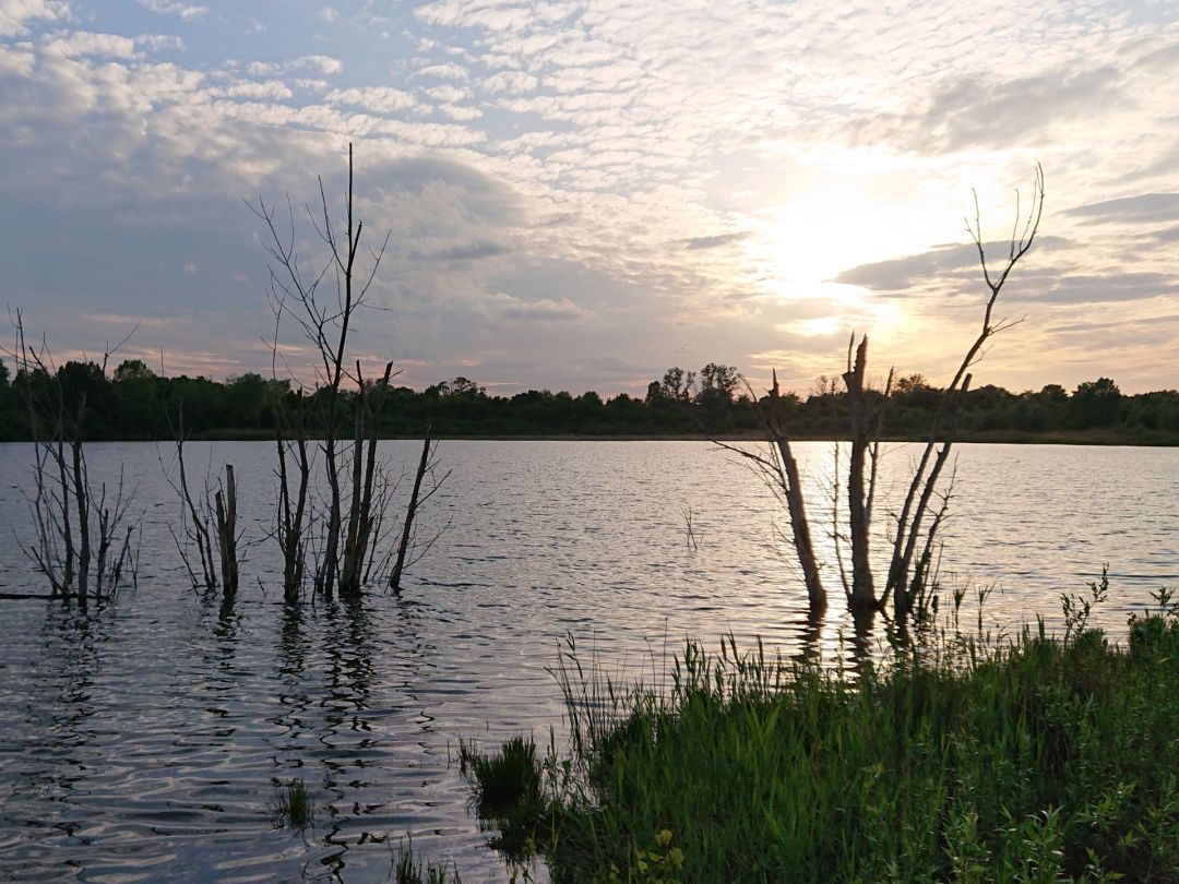 Zwochauer See   angeln