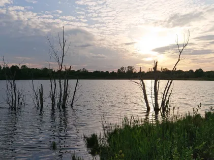 Zwochauer See  