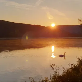 Mosel (Riol-Mehring)
