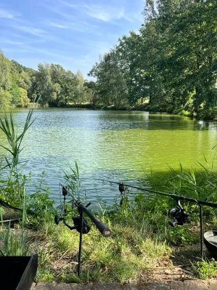 Streunenteich Mauschwitz