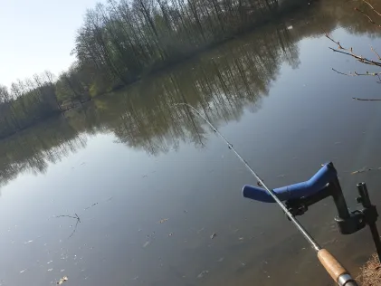 Oedingteich