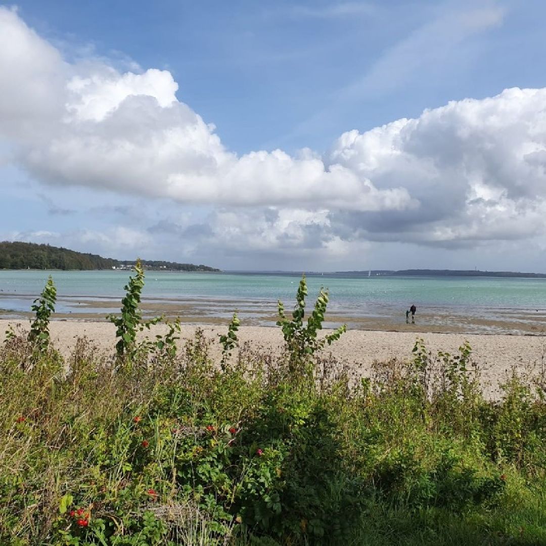 Flensburger Förde (Ostseebad) angeln