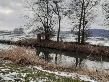 Schmutter (Achsheim)