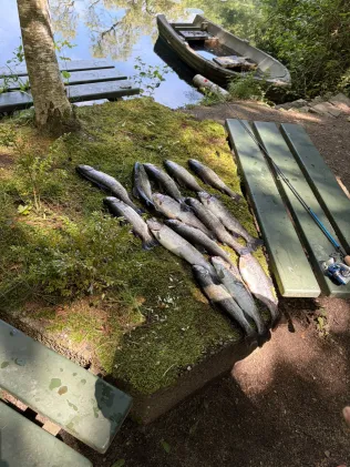 Reinerbecker Fischzucht