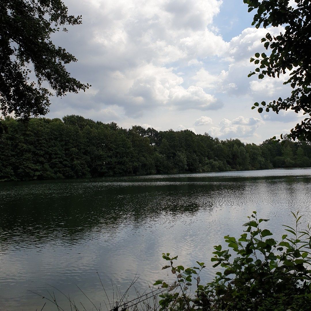 Leckisee (Harsewinkel) angeln