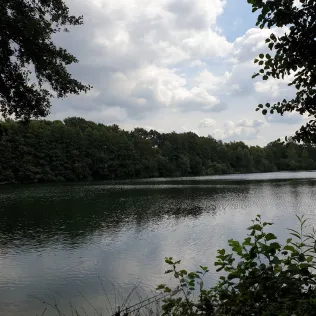 Leckisee (Harsewinkel)