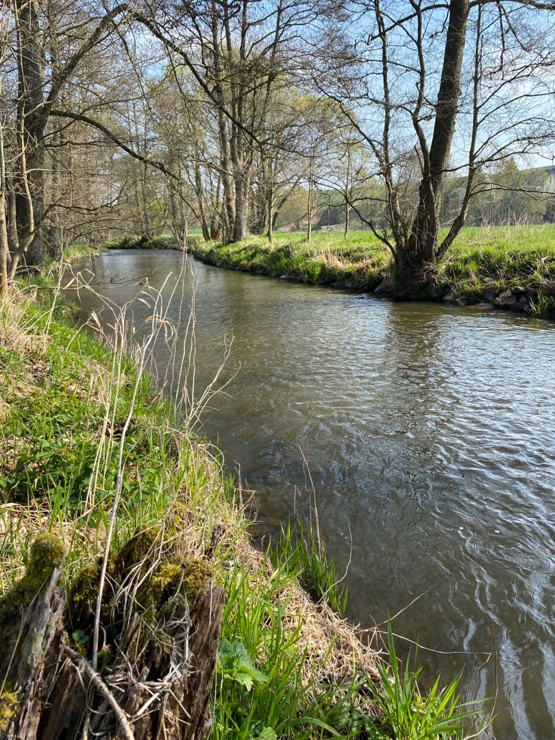 Weiße Elster (Oelsnitz/Vogtl.) angeln