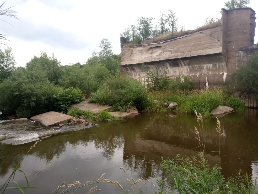 Lausitzer Neiße (Forst/Lausitz) angeln