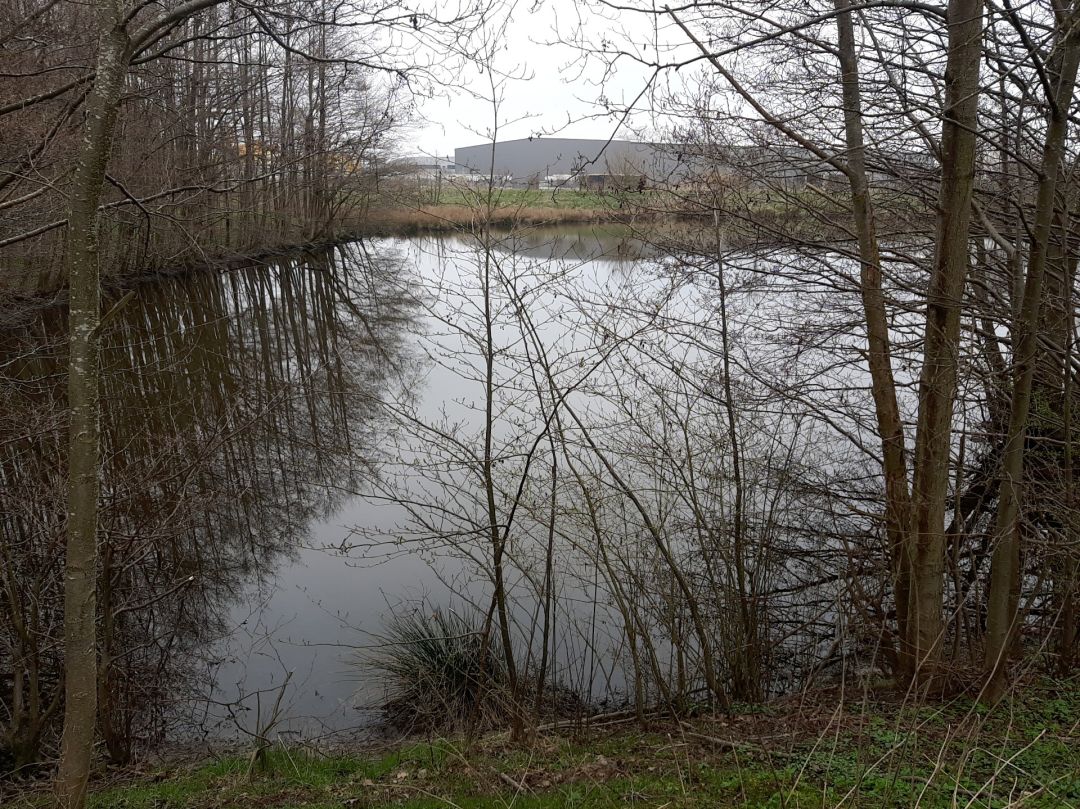 Grosser Teich Krückaupark angeln