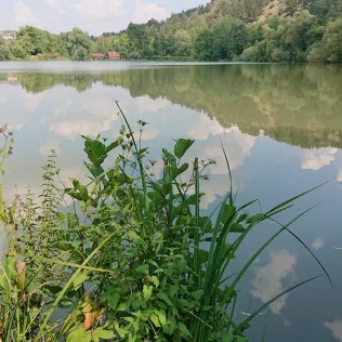 Eußenheimer See