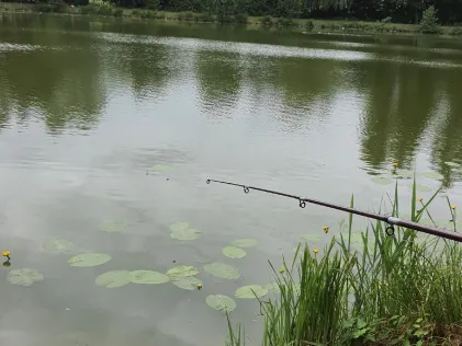 Erlensee (Angelbachtal)