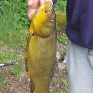 Kleiner Trebowsee