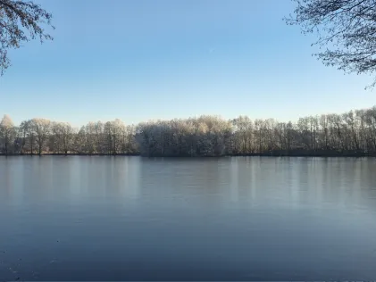 Brocksee