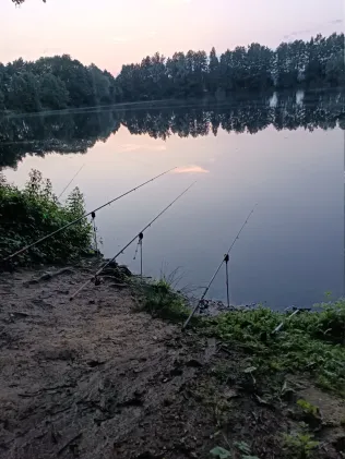 Brocksee