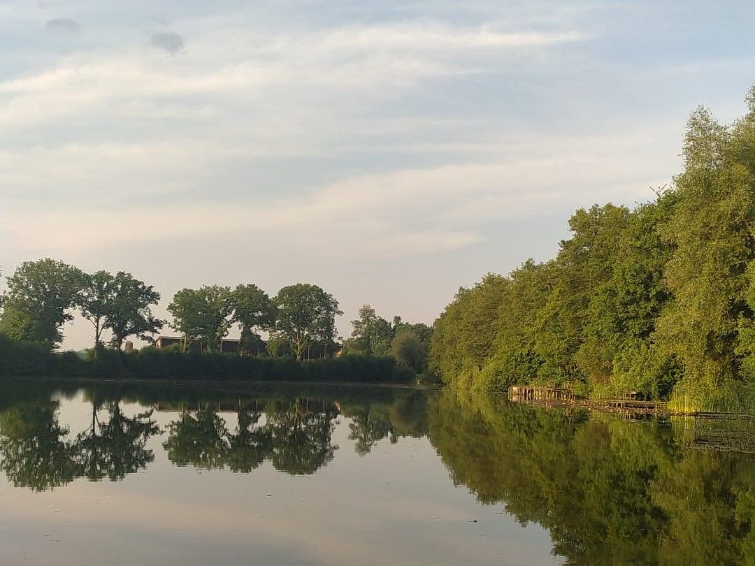 Schmalfelder See angeln