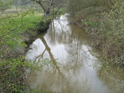 Johannisbach (Bielefeld)