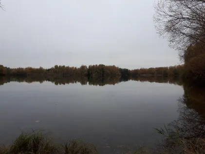 Kiesteich Schladen