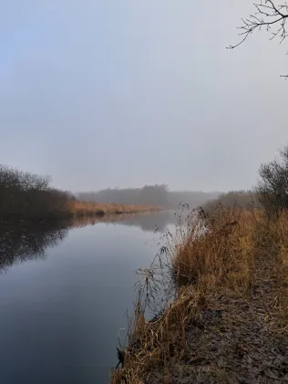 Seekanal Sellstedt