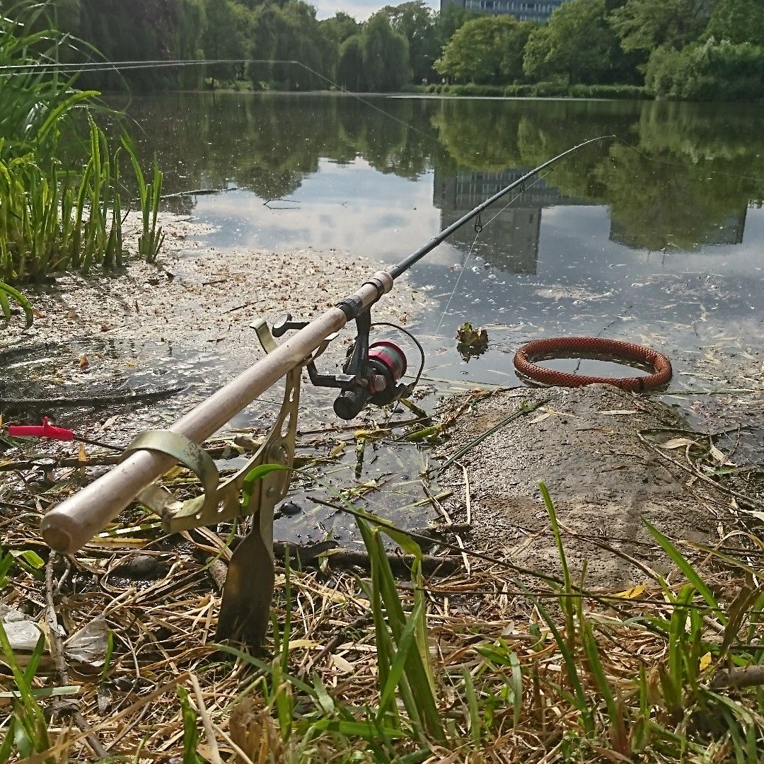 Südenteich (OLG-Teich) angeln