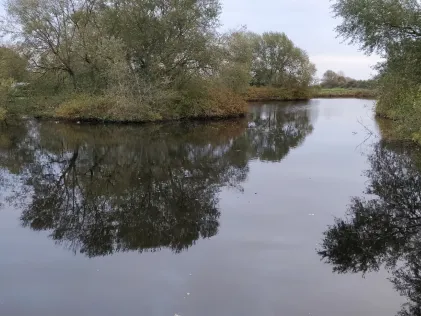 Teich am Ferienpark Holm