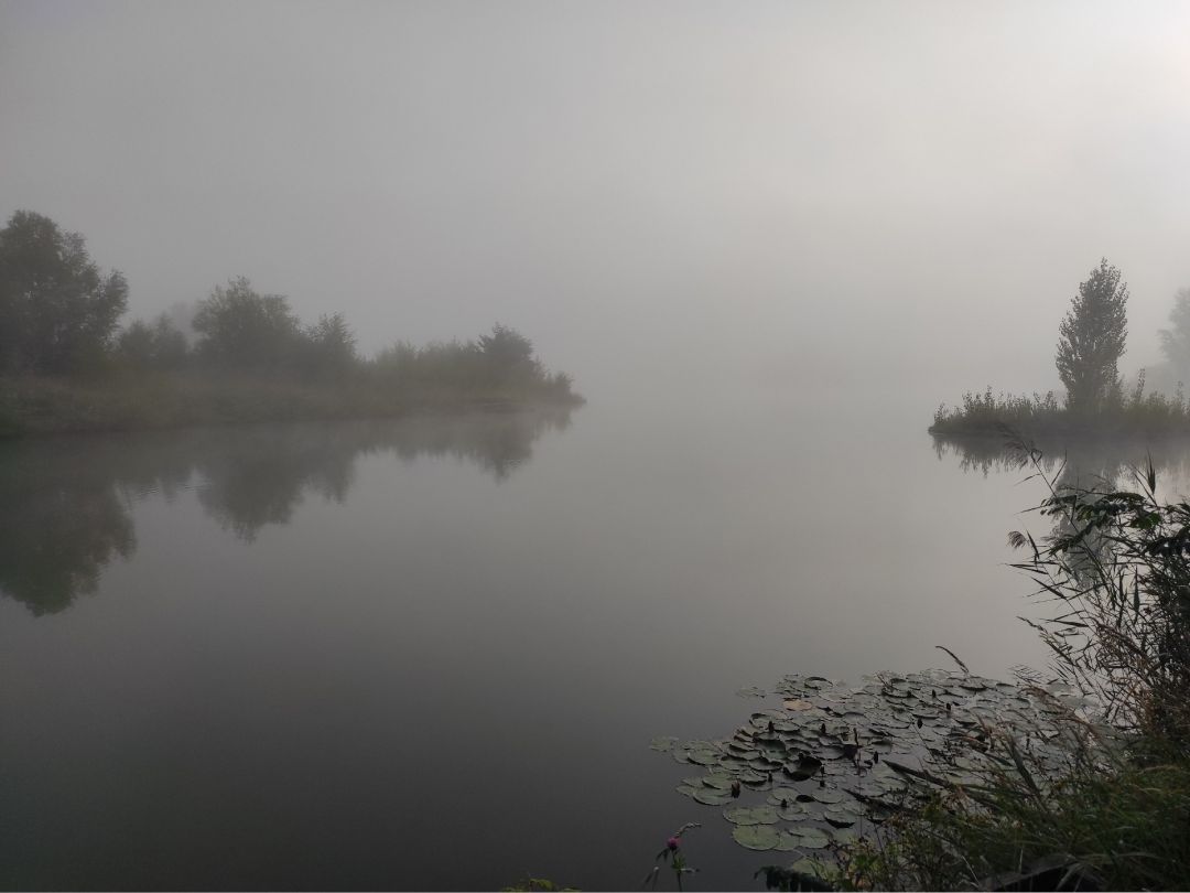 Kiessee Tornitz angeln