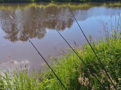 Große Süderbäke (Apen)