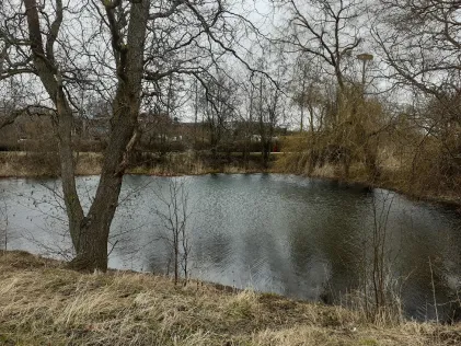 Dorfteich Kerspleben
