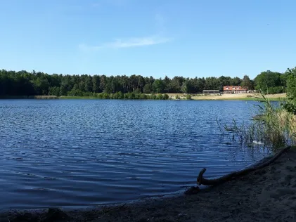 Friedensteich (Wittenberge)