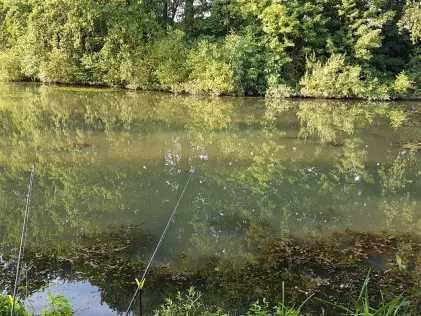 Regenrückhaltebecken Syke