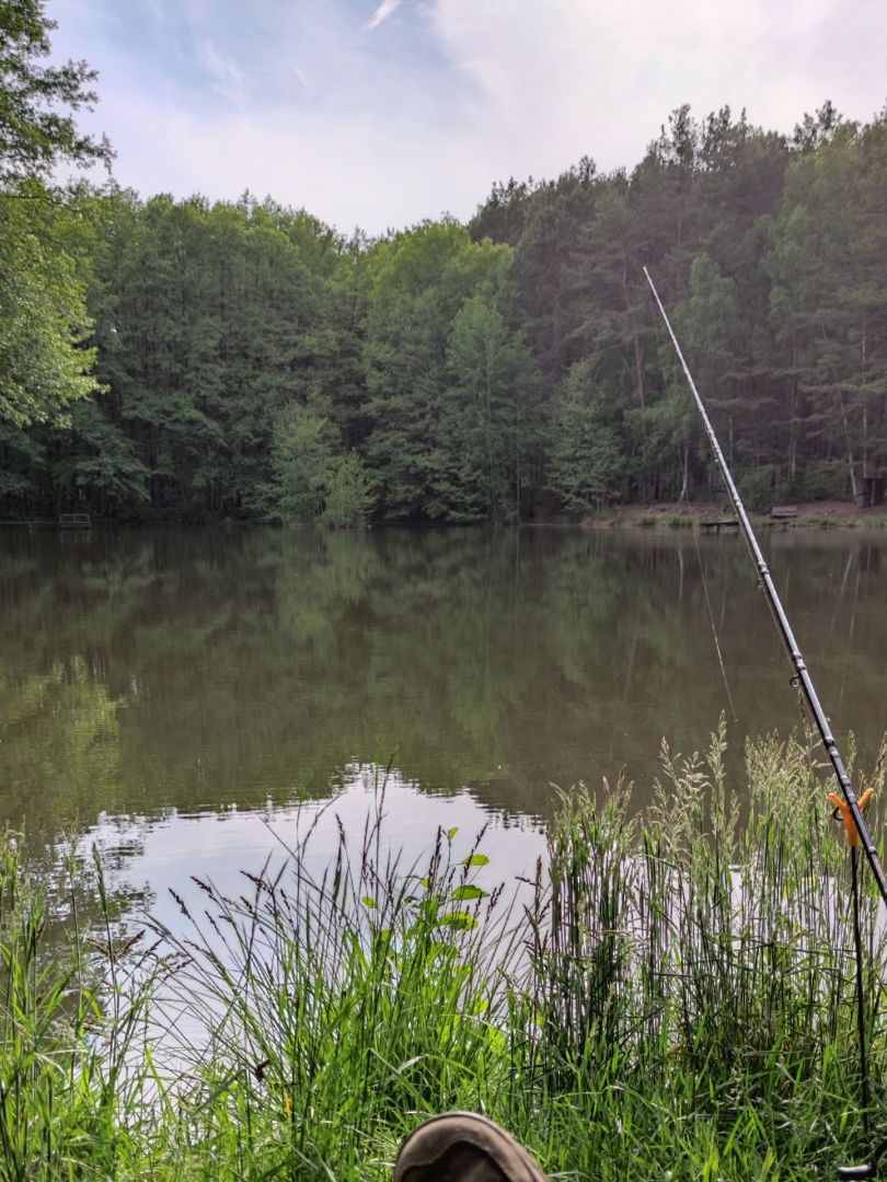 Teich im Revier Rothe Bache angeln