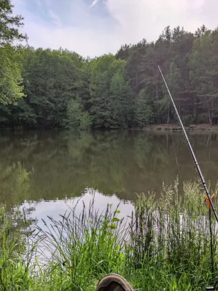 Teich im Revier Rothe Bache