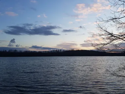 Neffelsee