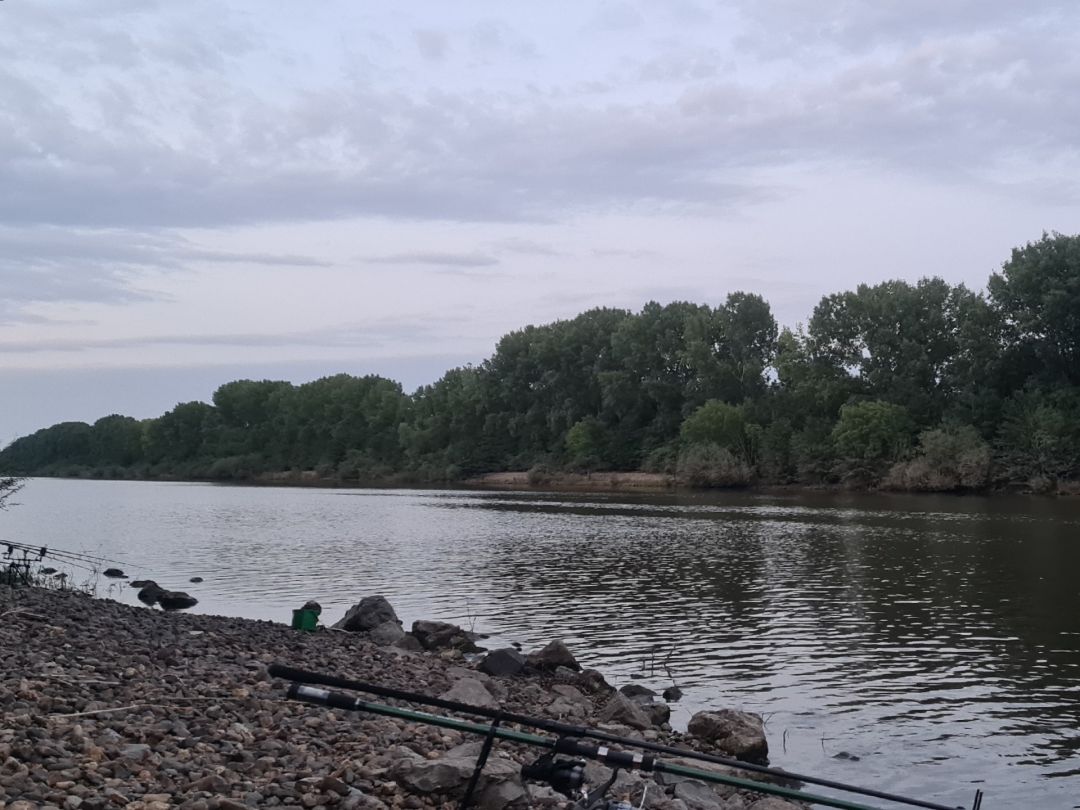 Lateraalkanaal (Roermond) angeln