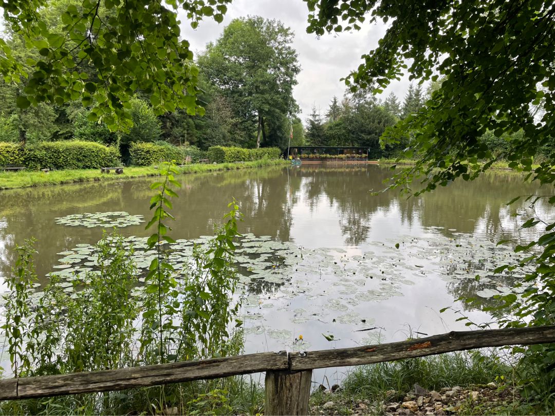 Mahlweiher (Bachem) angeln