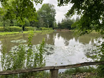 Mahlweiher (Bachem)