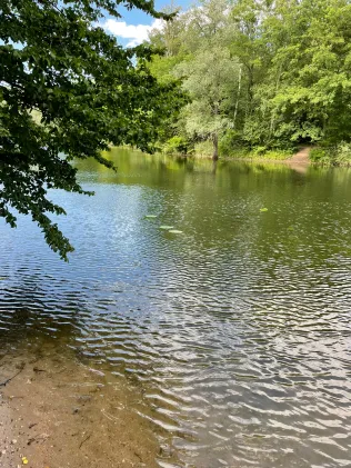 Oberwaldsee (Karlsruhe)