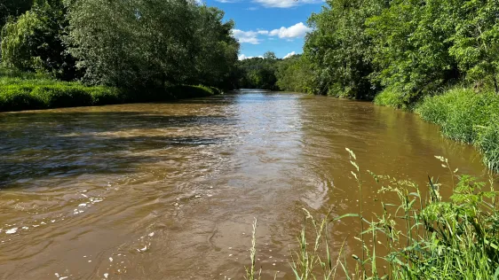 Weiße Elster (Bad Köstritz)