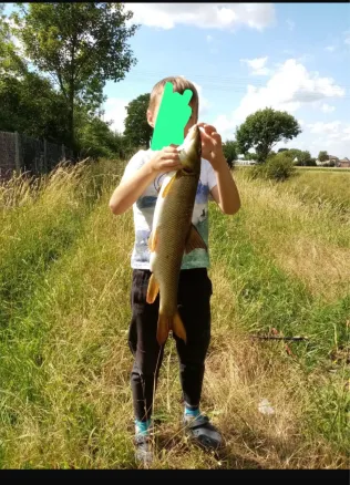 Wurm (Dremmen)
