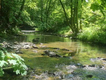 Zwönitz (Einsiedel)