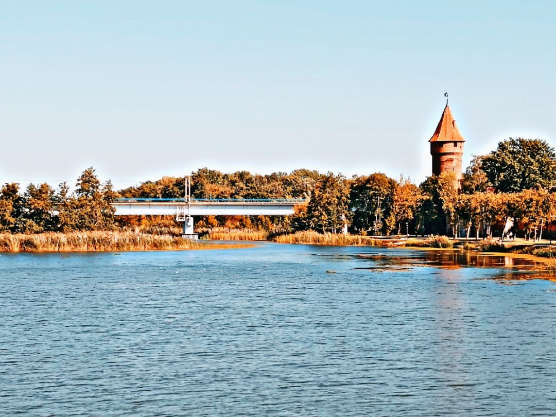 Nogat (Malbork) angeln