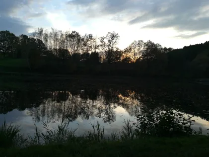 Fischteiche ASC Rimbach