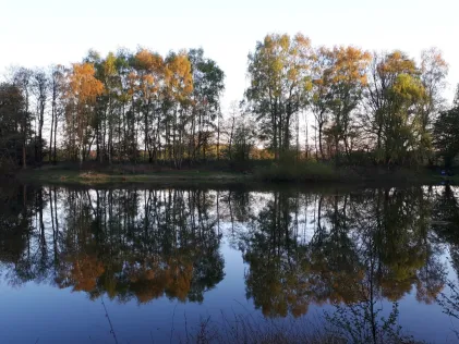 Buschteich (Wildeshausen)