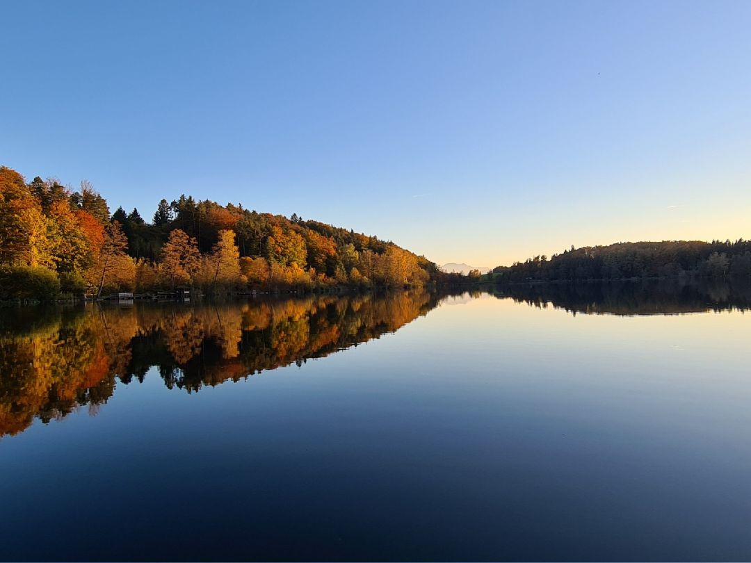 Höllerersee angeln