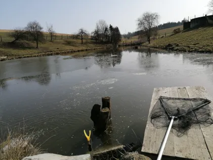 Bubinger Weiher