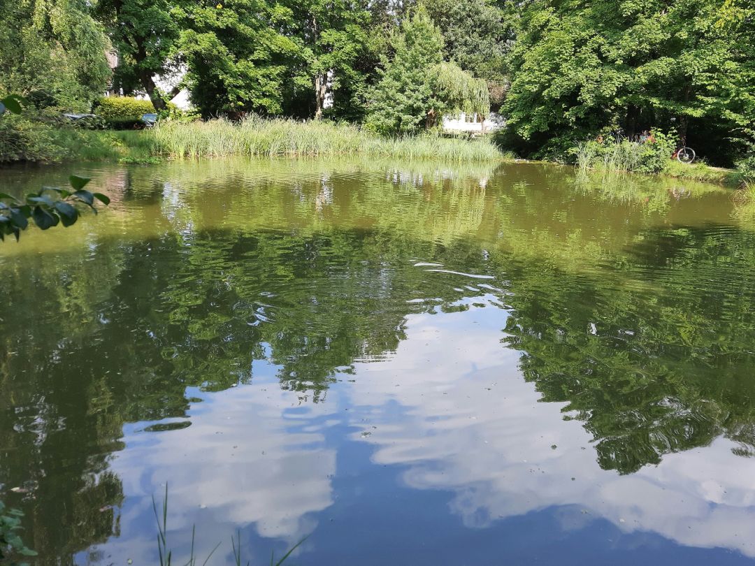 Dorfteich Römershagen angeln