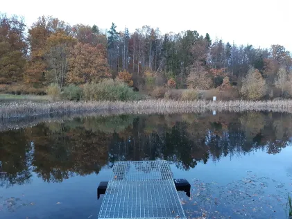 Teich Habichtsfang
