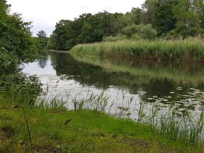 Möster Altes Wasser
