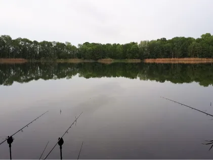 Kogeler See