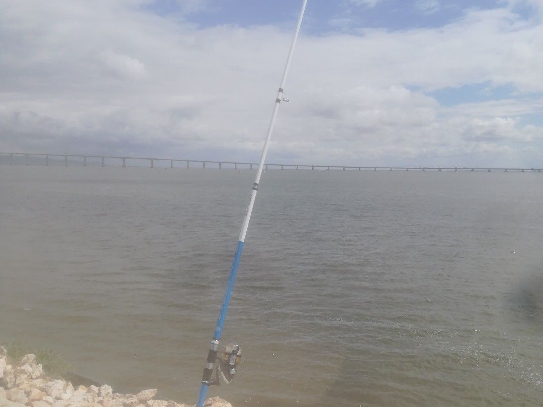 Tejo (Lissabon) angeln