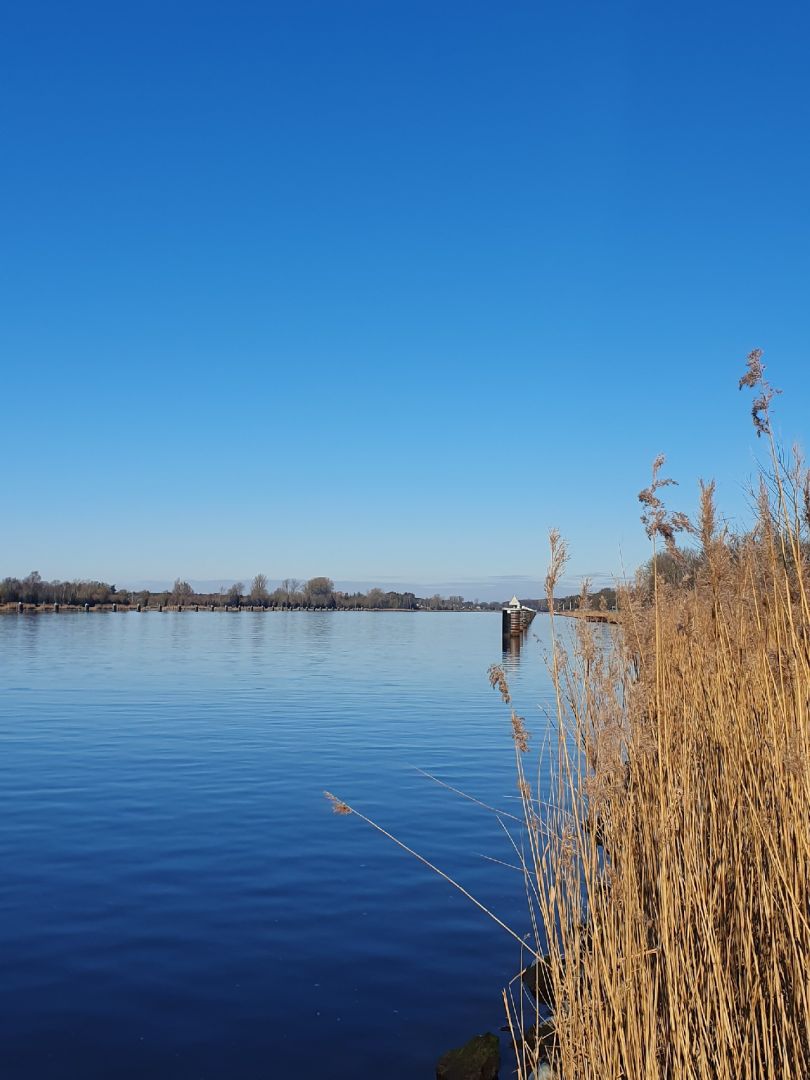 Nord-Ostsee-Kanal (Schülp) angeln
